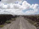 canarie85.JPG