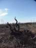 tripcanarie_spagna1.JPG