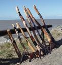 Il gruppo di didgeridoo