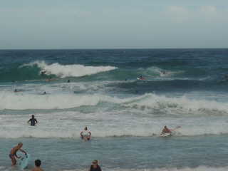 Surf a Bondi Beach