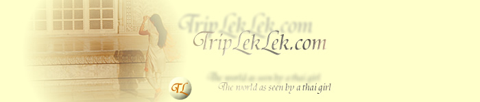 Il banner di TripLekLek