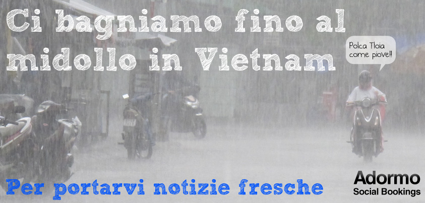 vedi altre infografiche