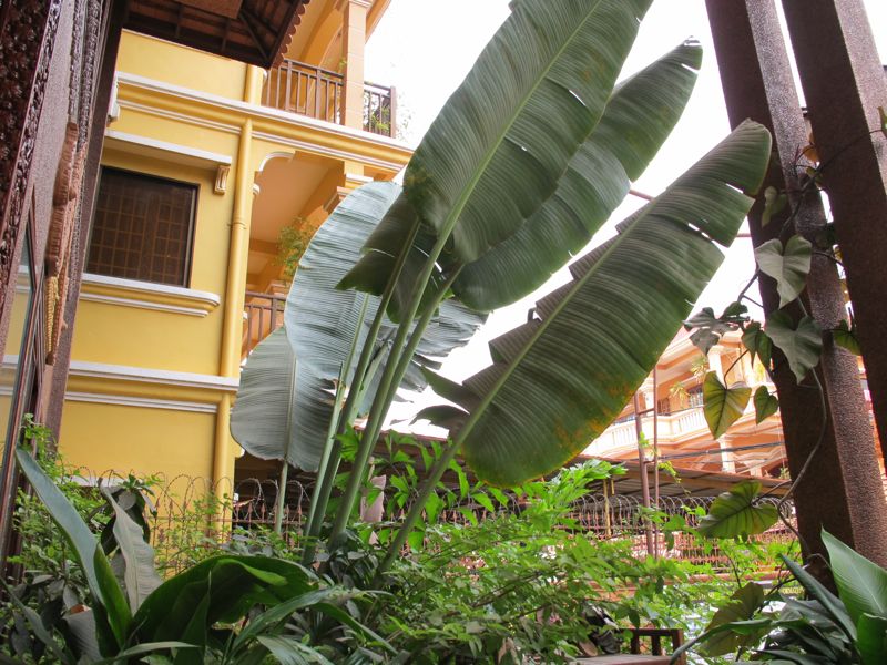 Okay 1 Hotel & Spa - Siem Reap - Cambogia-17