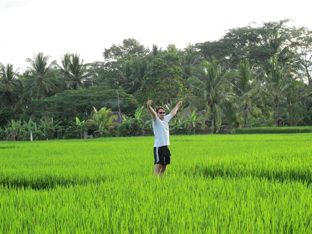luca-bali-fields